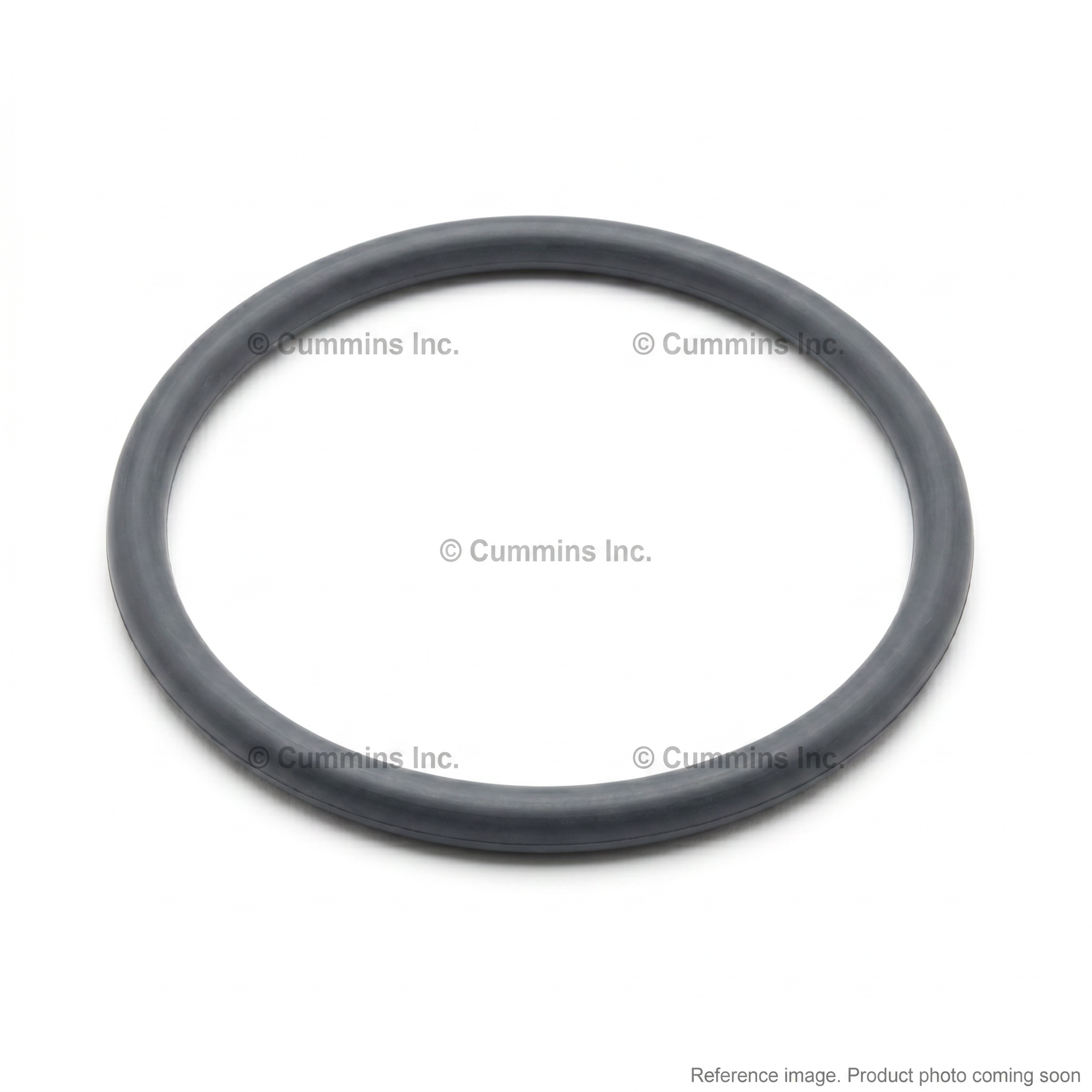 Cummins 3683940 Engine Seals three-quarter angle product photo | stocked in BC, ships Canada-wide