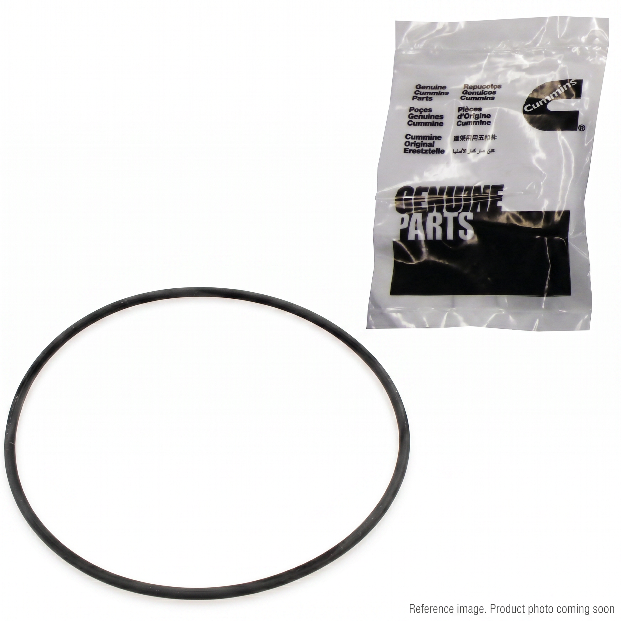 Cummins 3969698 P7100 Pump Timing Case O-Ring Seal front product photo | stocked in BC, ships Canada-wide