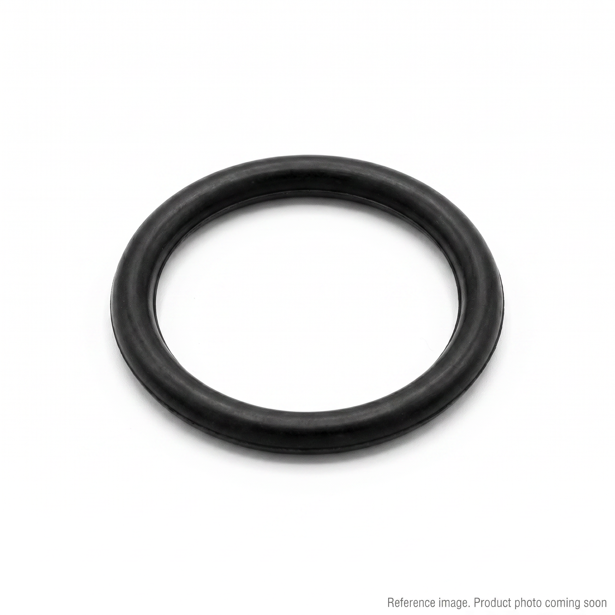 Cummins 4995185 D Ring Seal alternate angle product photo | stocked in BC, ships Canada-wide