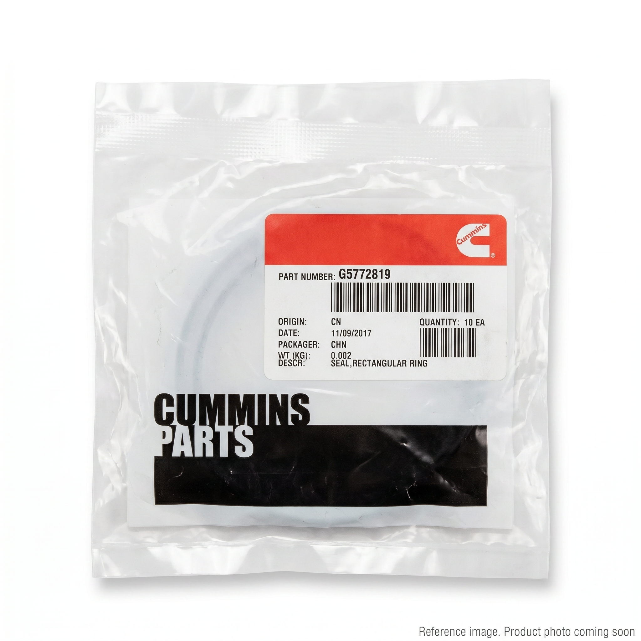 Cummins 5272819 O-Ring three-quarter angle product photo | stocked in BC, ships Canada-wide
