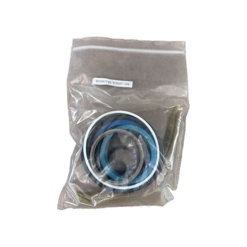 XCMG 803087748 Seal Kit XGYG07-194 Heavy Equipment