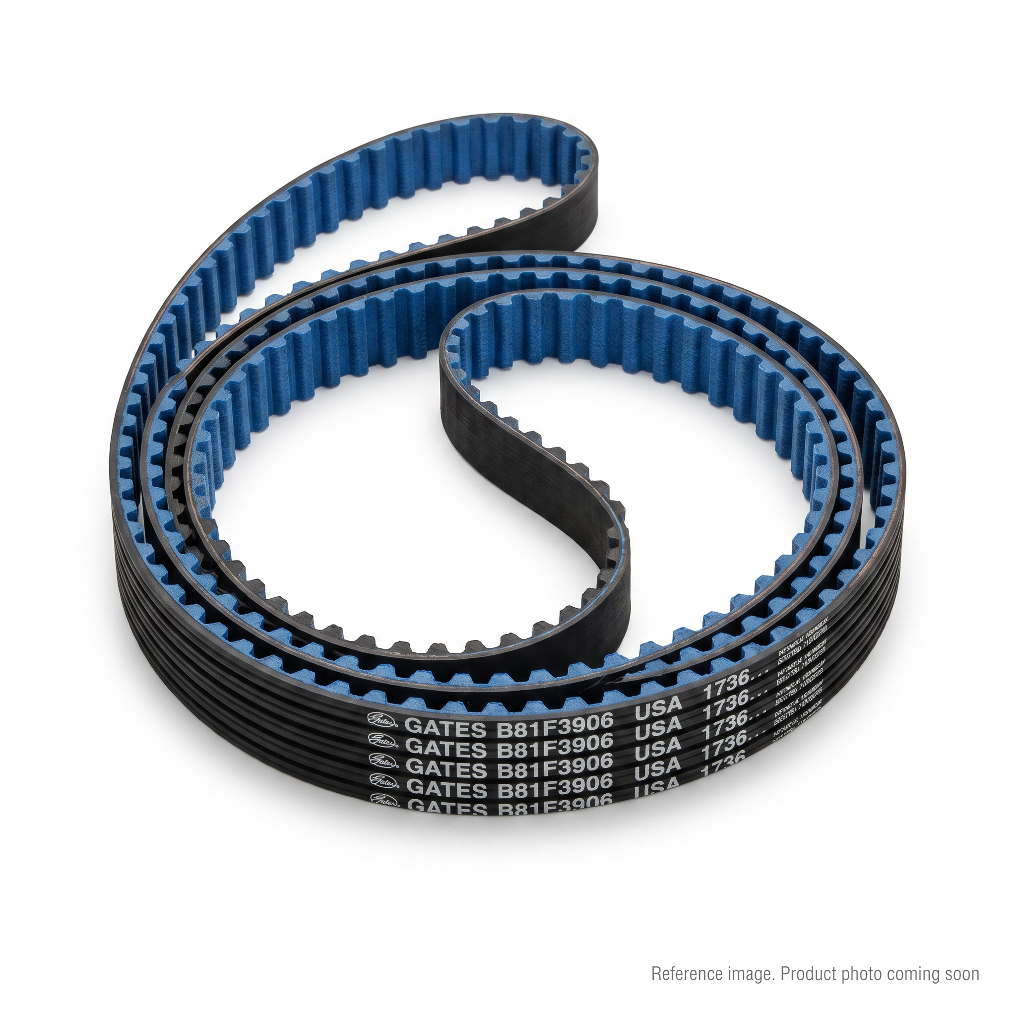 Gates B81F3906 Belts three-quarter angle product photo | stocked in BC, ships Canada-wide