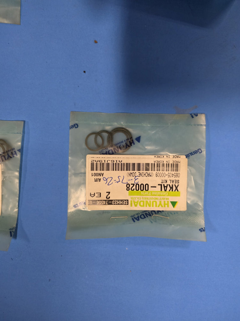 Genuine Hyundai XKAL-00028 seal kit on Prince George BC shelf