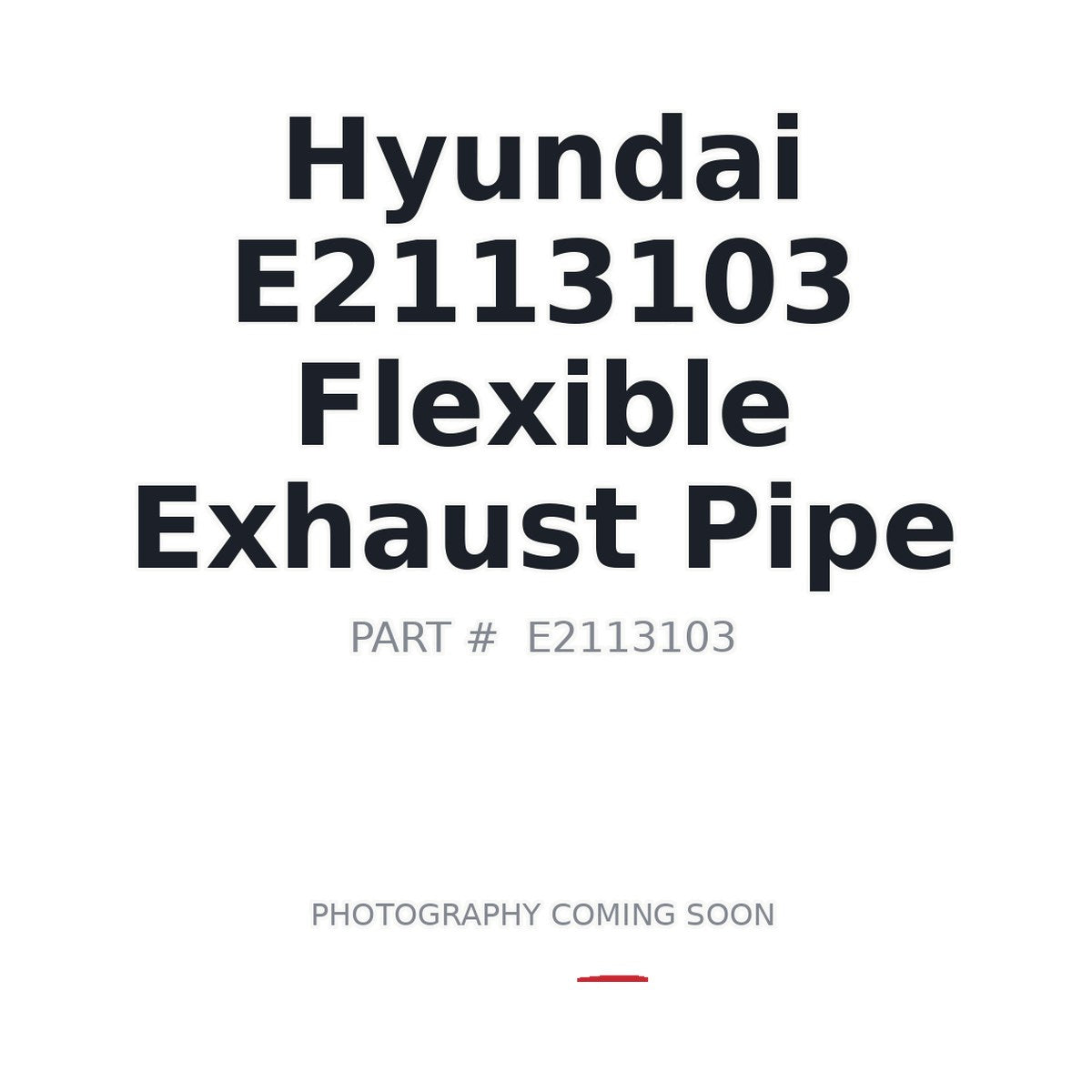 E2113103 Hyundai Flexible Exhaust Pipe