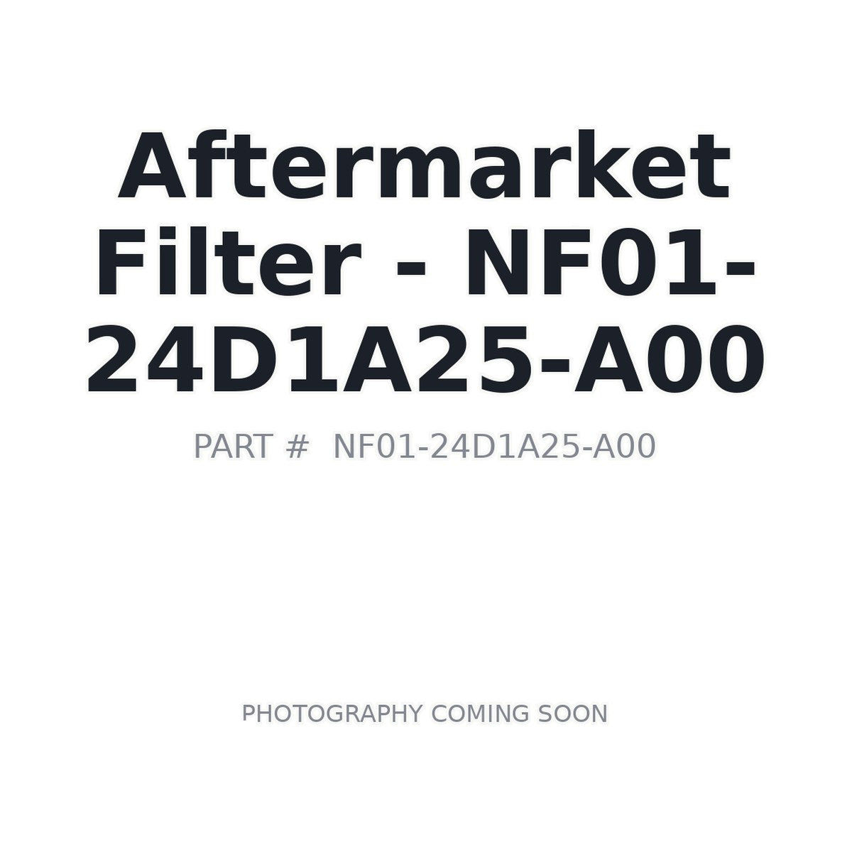 SANY NF01 Filter