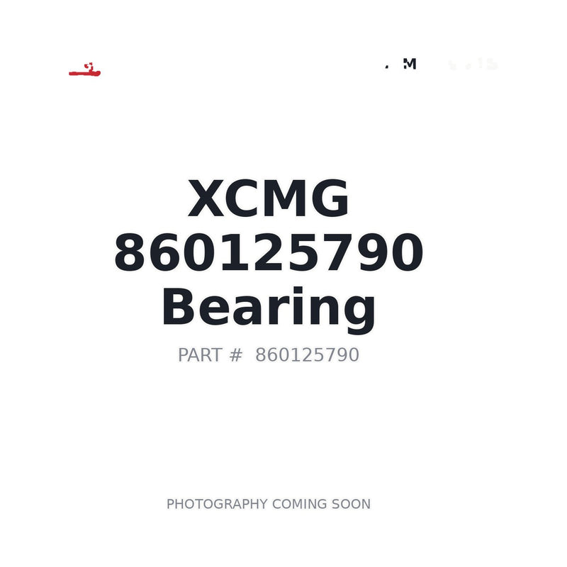 860125790 XCMG Bearing