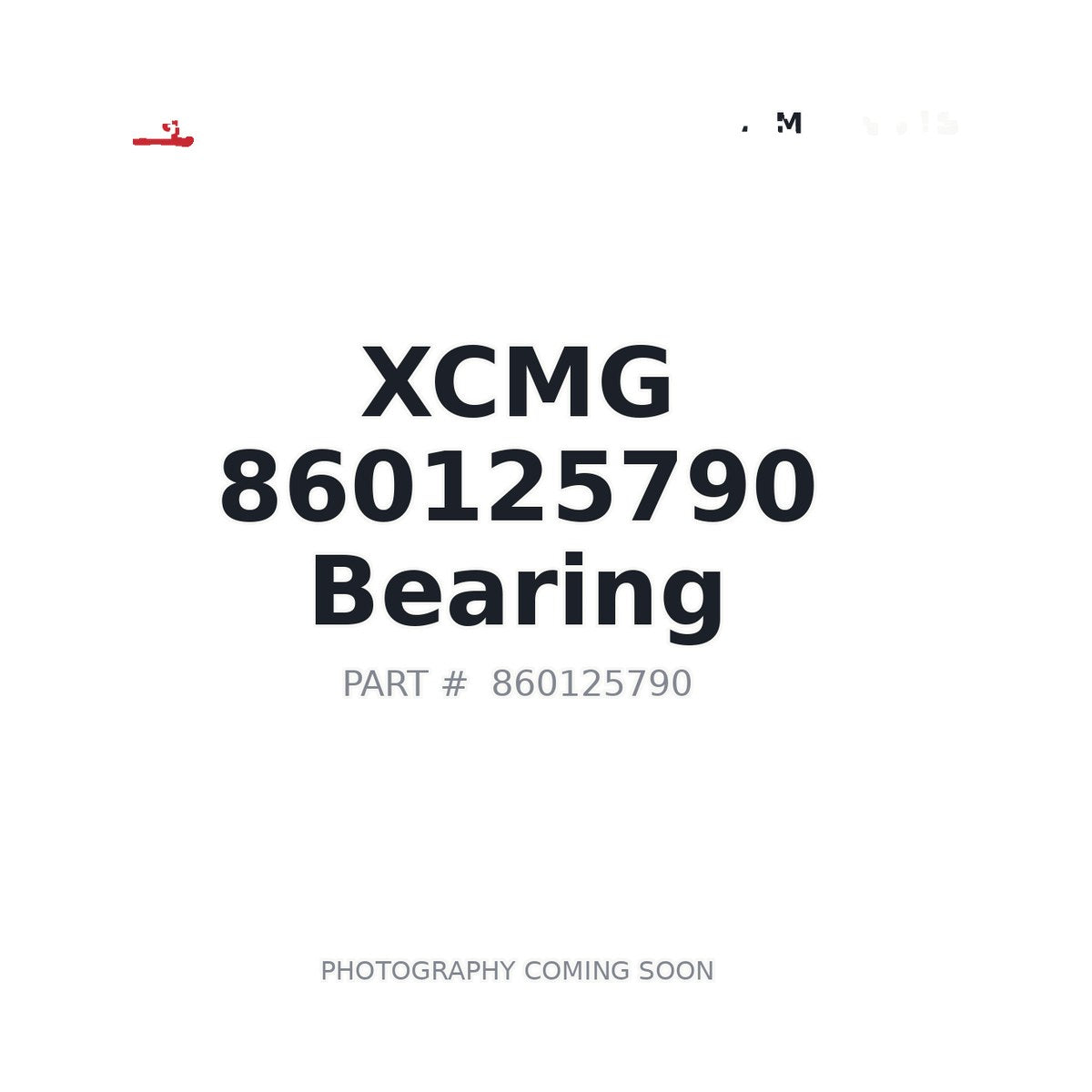 860125790 XCMG Bearing