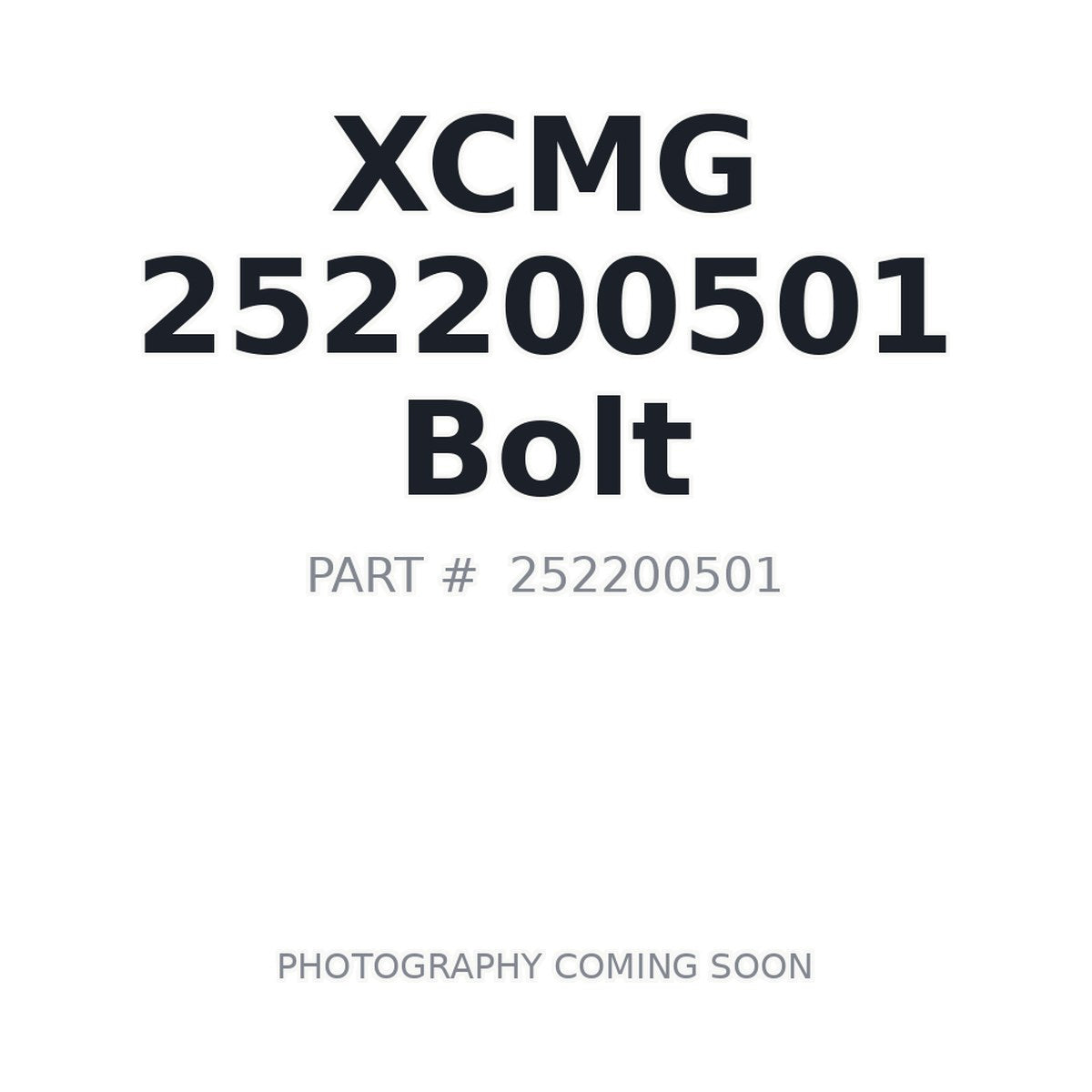 252200501 XCMG Bolt
