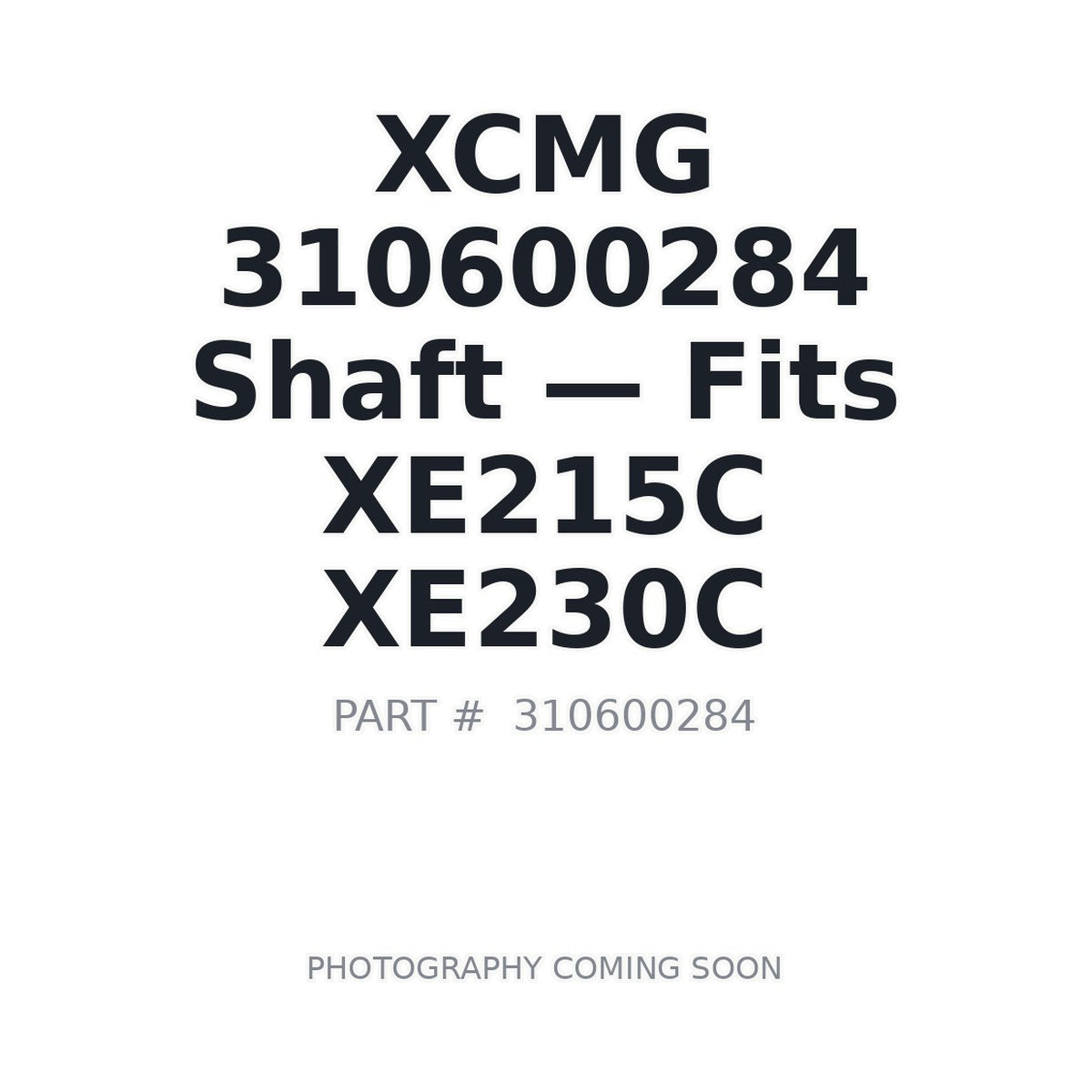 310600284 XCMG Pins