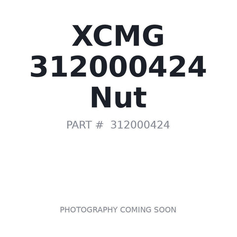 312000424 XCMG Nut