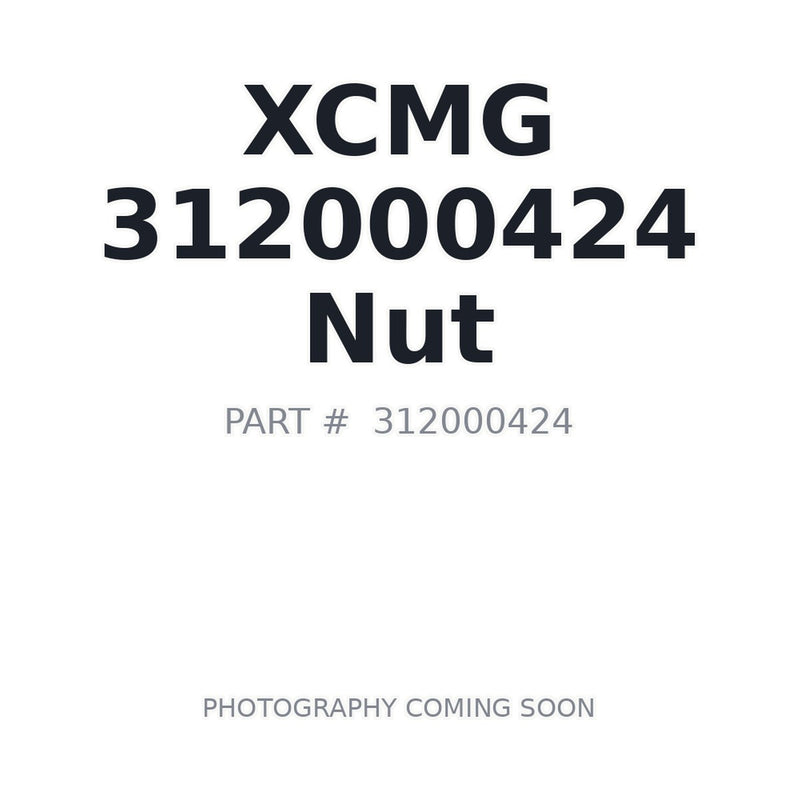 312000424 XCMG Nut