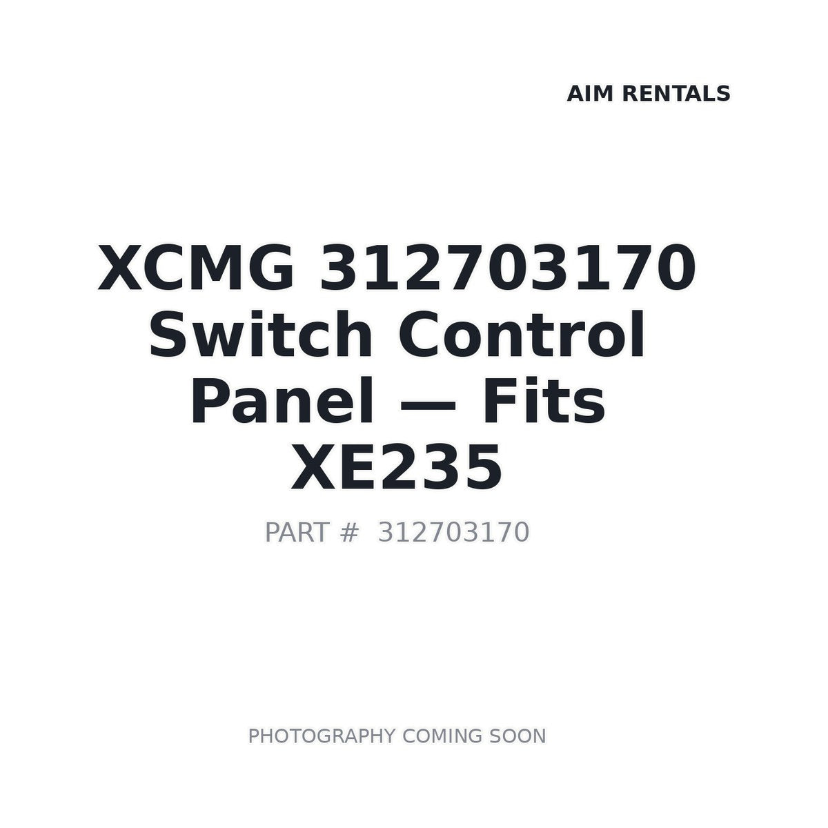 312703170 XCMG Electrical Control Panels