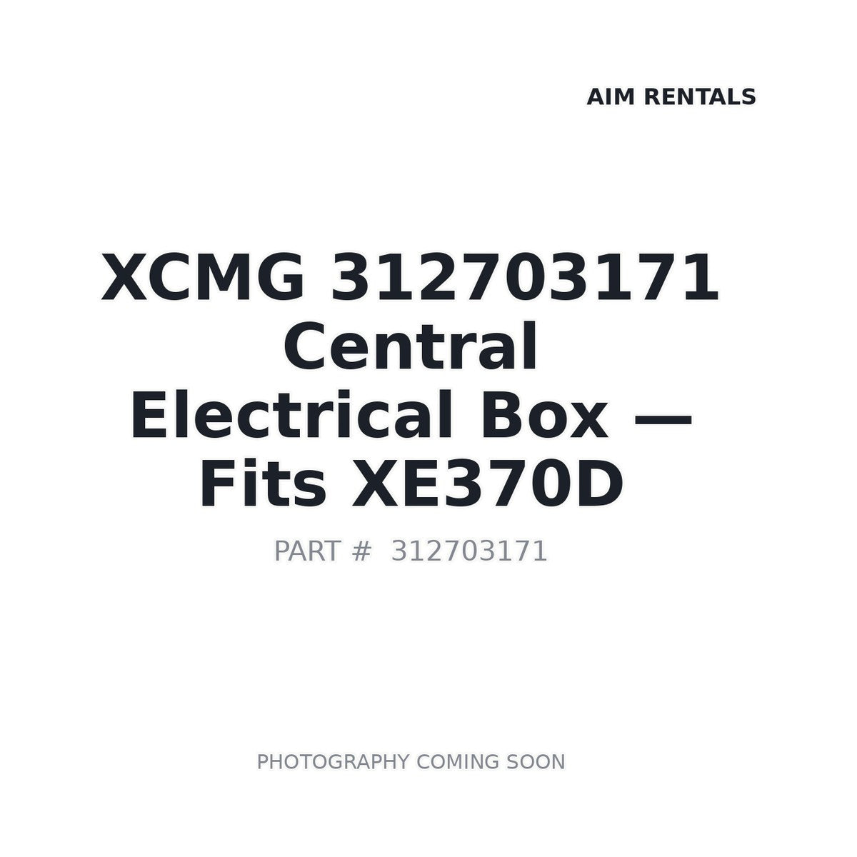 312703171 XCMG Electrical Boxes