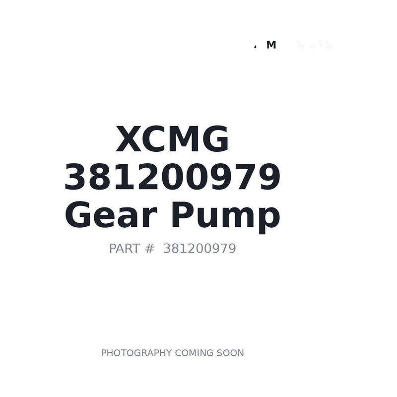 XCMG 381200979 Pump for GR series motor graders