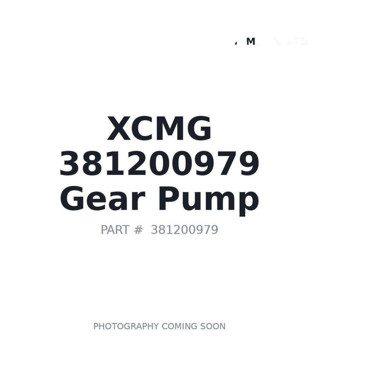 381200979 XCMG Pump