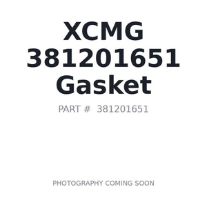 XCMG 381201651 Gasket | In Stock BC