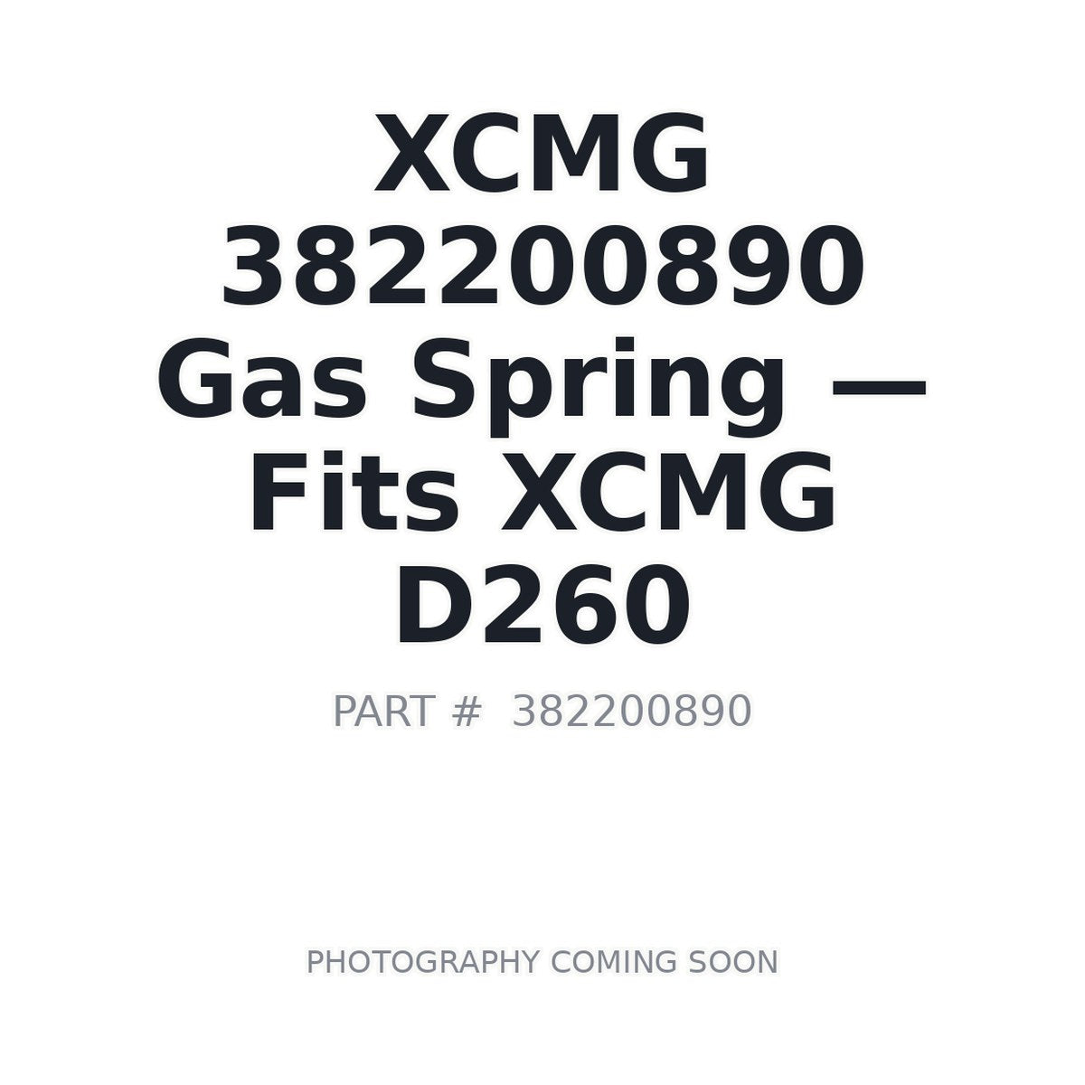 382200890 XCMG Gas Springs