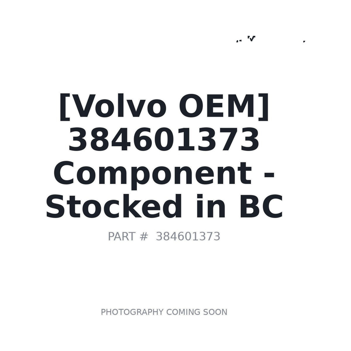 384601373 Volvo Component