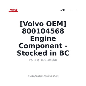 XCMG 800104568 Engine | In Stock BC