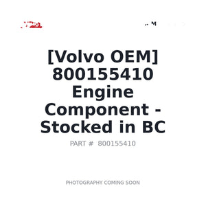XCMG 800155410 Engine | In Stock BC