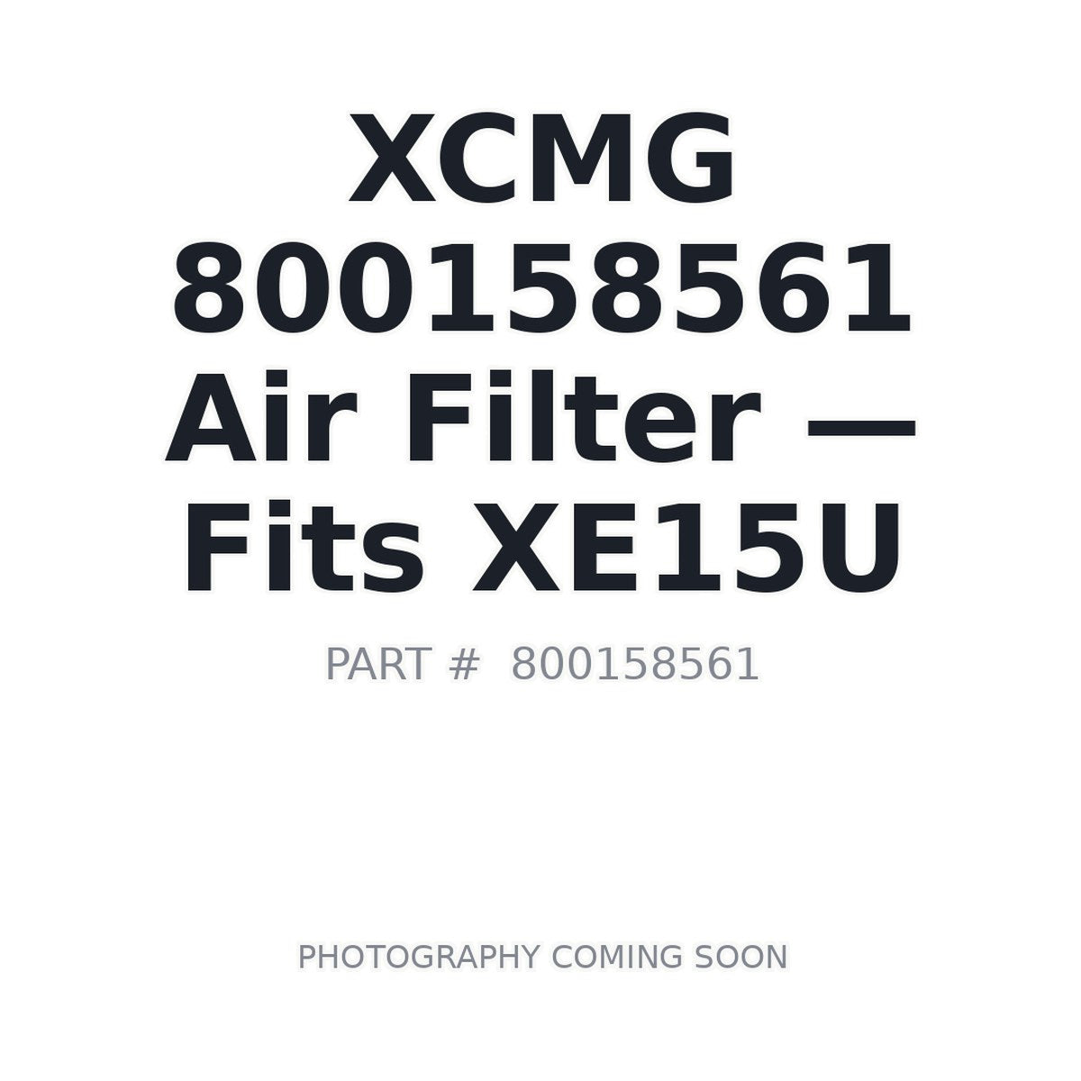 800158561 XCMG Air Filter