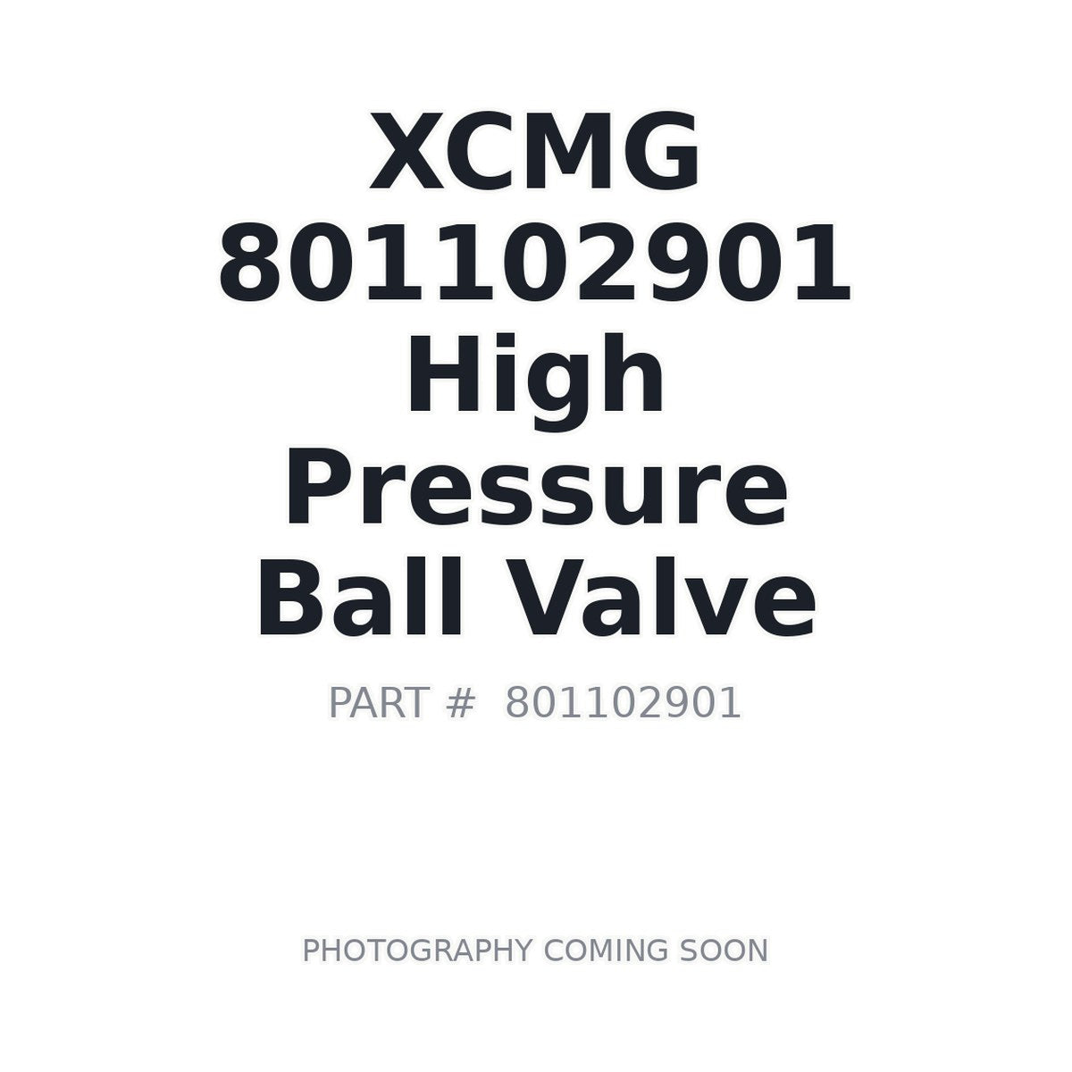 801102901 XCMG Ball Valve