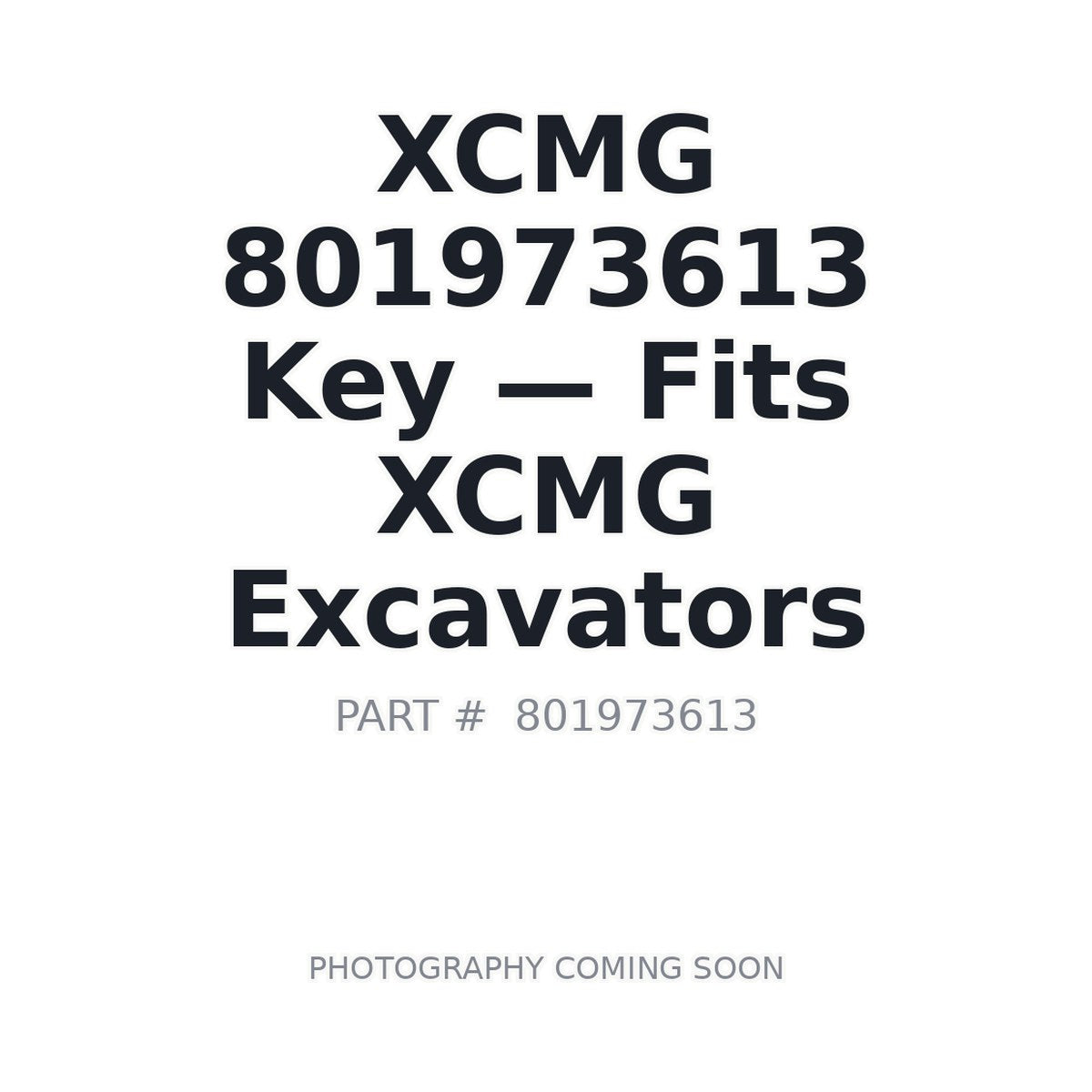801973613 XCMG Keys