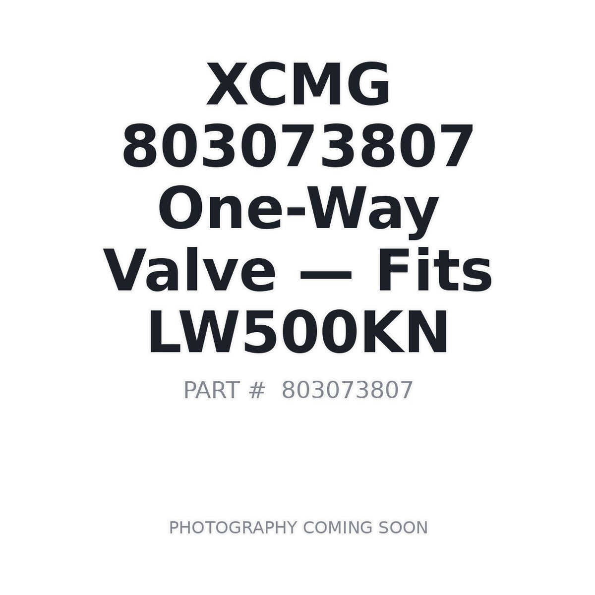 803073807 XCMG Hydraulic Valves