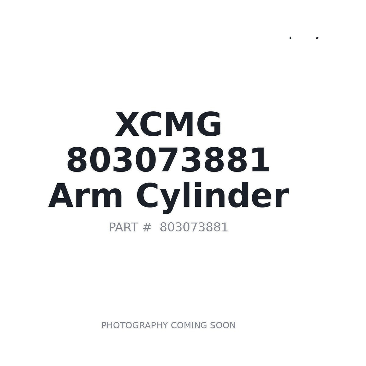 803073881 XCMG Cylinder