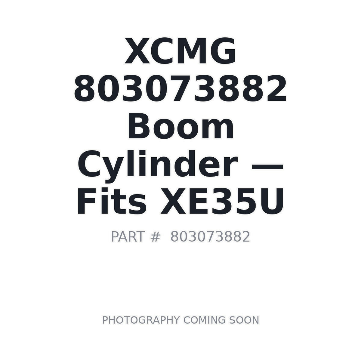 803073882 XCMG Hydraulic Cylinders