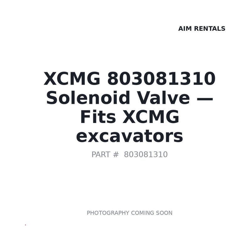 XCMG 803081310 Hydraulic Valve for XCMG Excavator