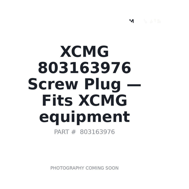 Genuine XCMG 803163976 Hardware Component