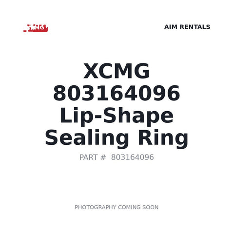 803164096 XCMG O-ring