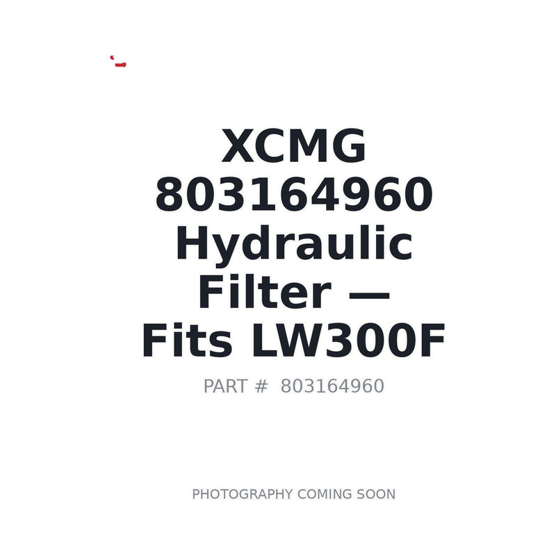 803164960 XCMG Filters
