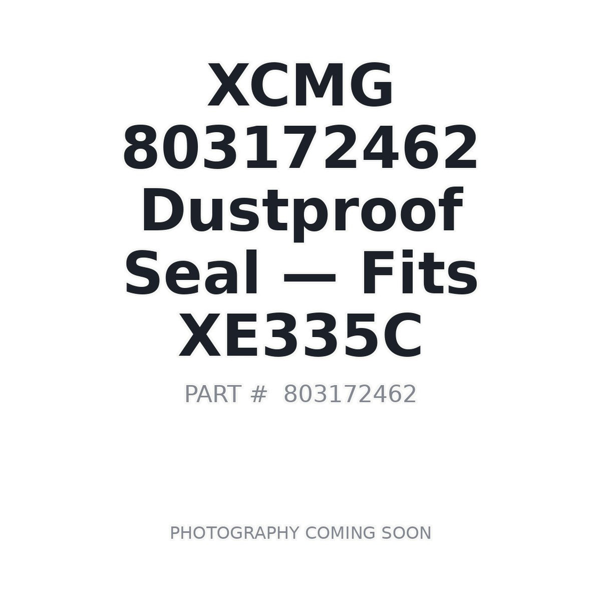 803172462 XCMG Hydraulic Seals