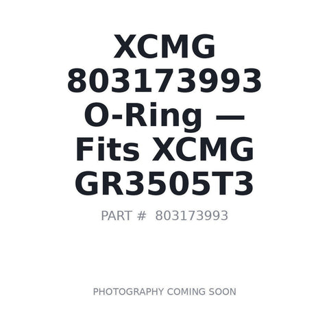 803173993 XCMG O-rings