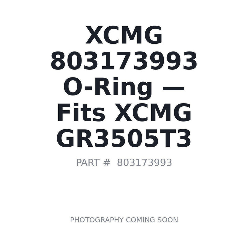 803173993 XCMG O-rings