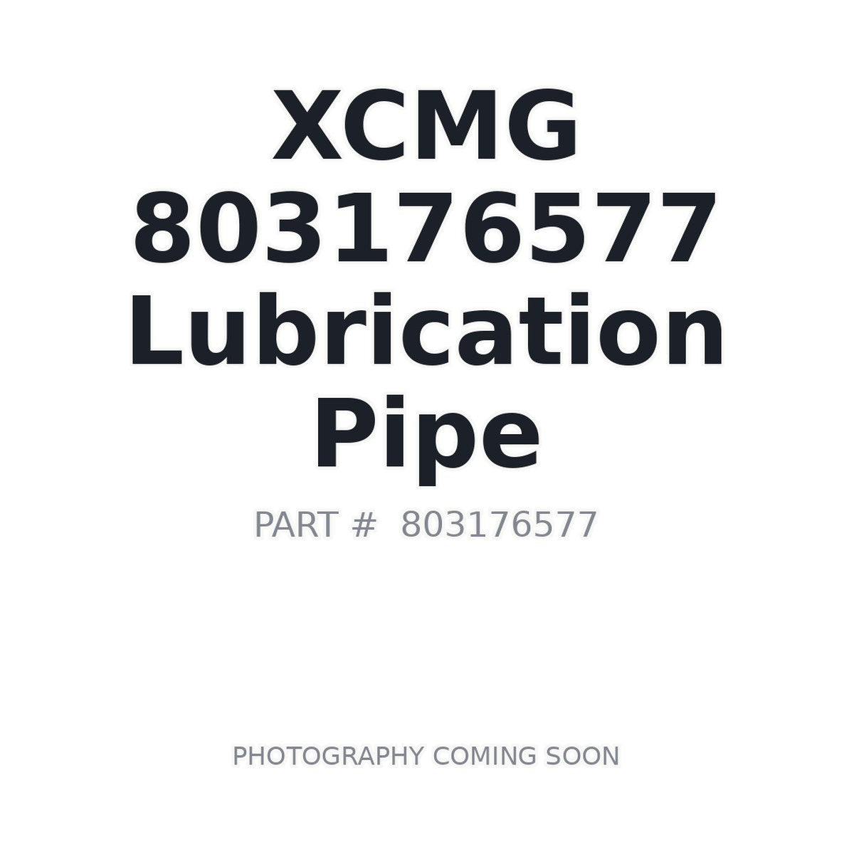 803176577 XCMG Hose