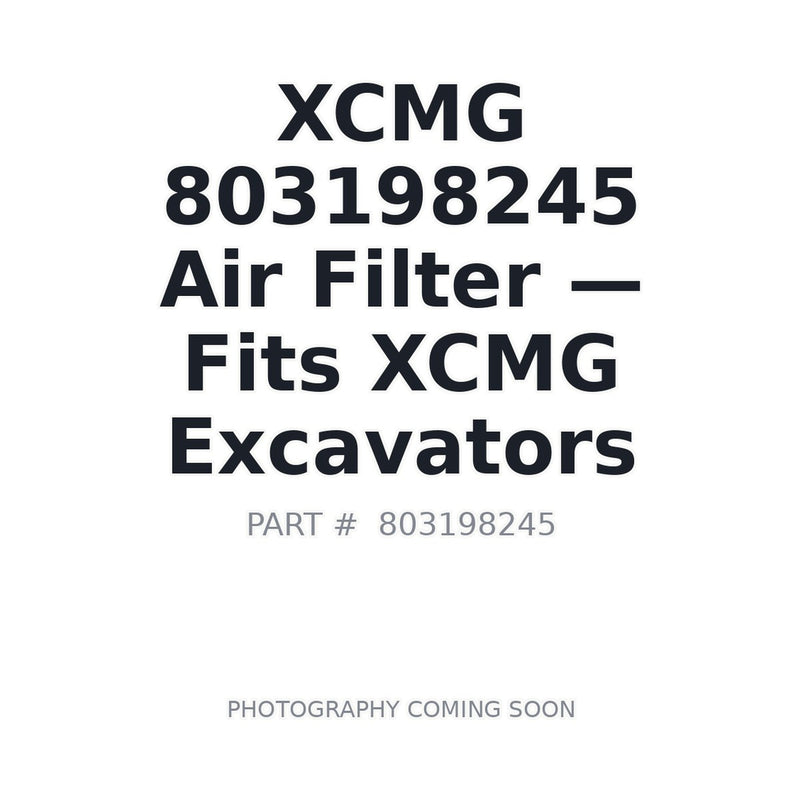 803198245 XCMG Filters