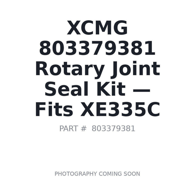 803379381 XCMG Hydraulic Seals