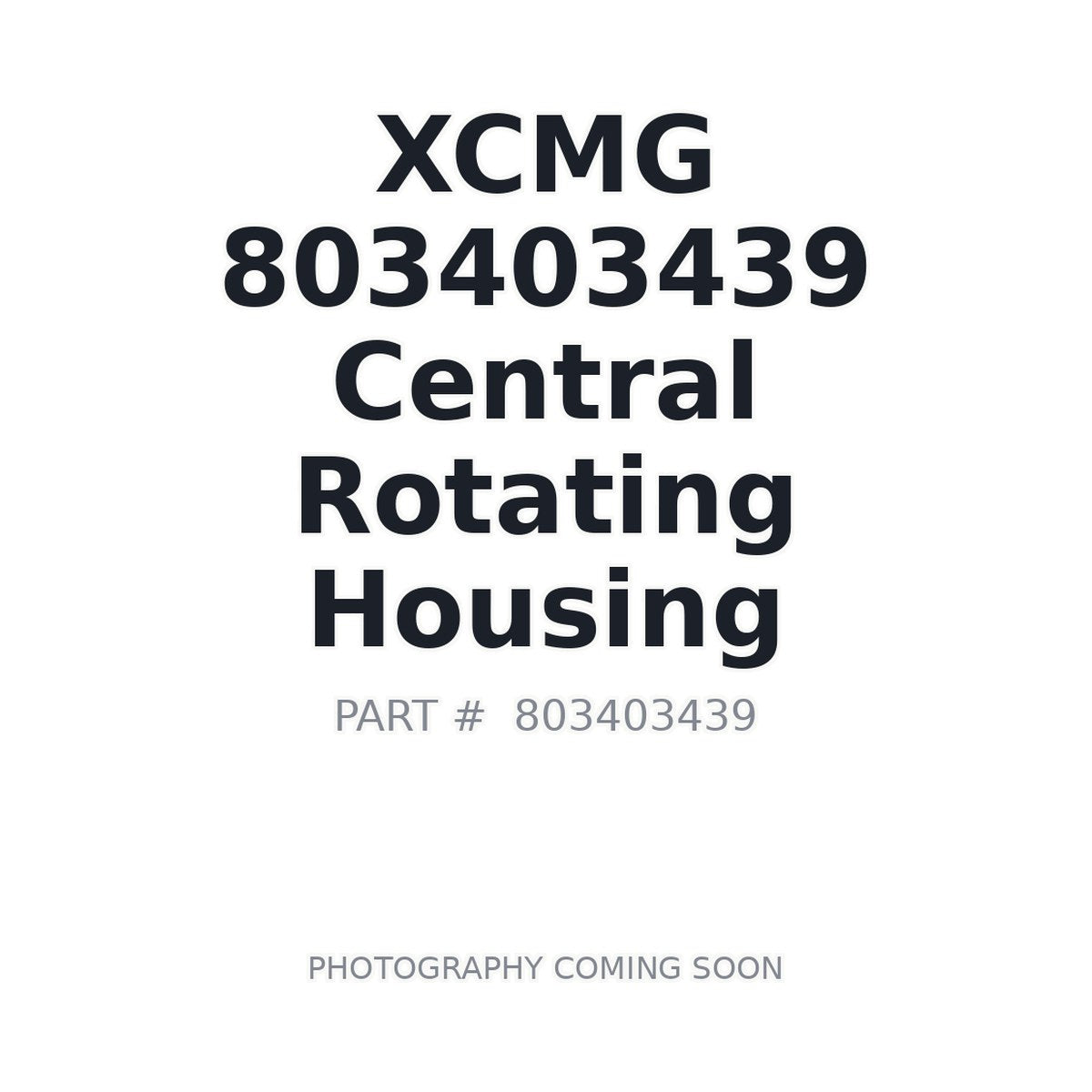 803403439 XCMG Slewing Bearing
