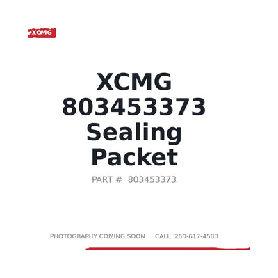803453373 XCMG Seal Kit