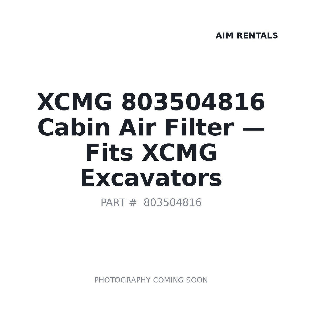 803504816 XCMG Filters