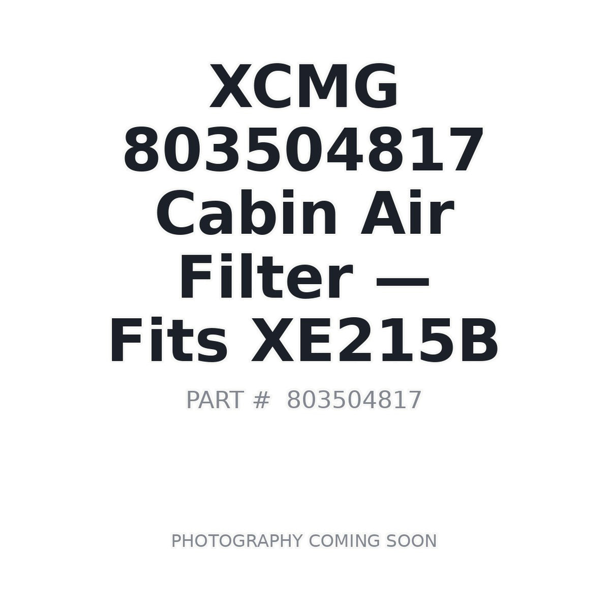 803504817 XCMG Filters