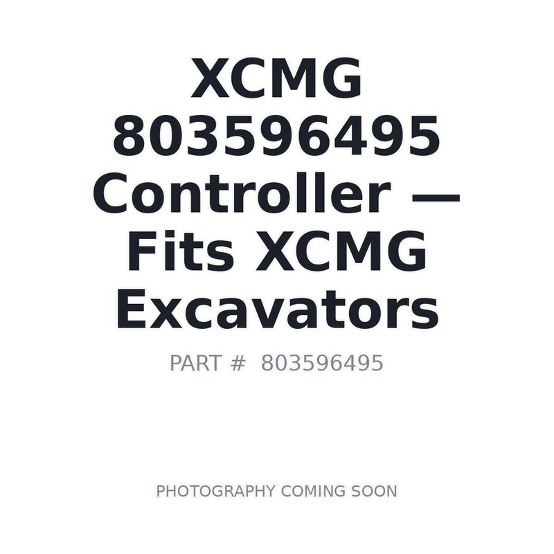 XCMG 803596495 main controller