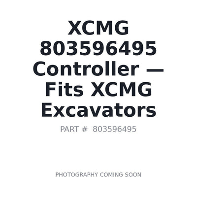 803596495 XCMG Controllers