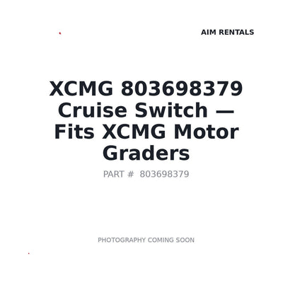 803698379 XCMG Switches