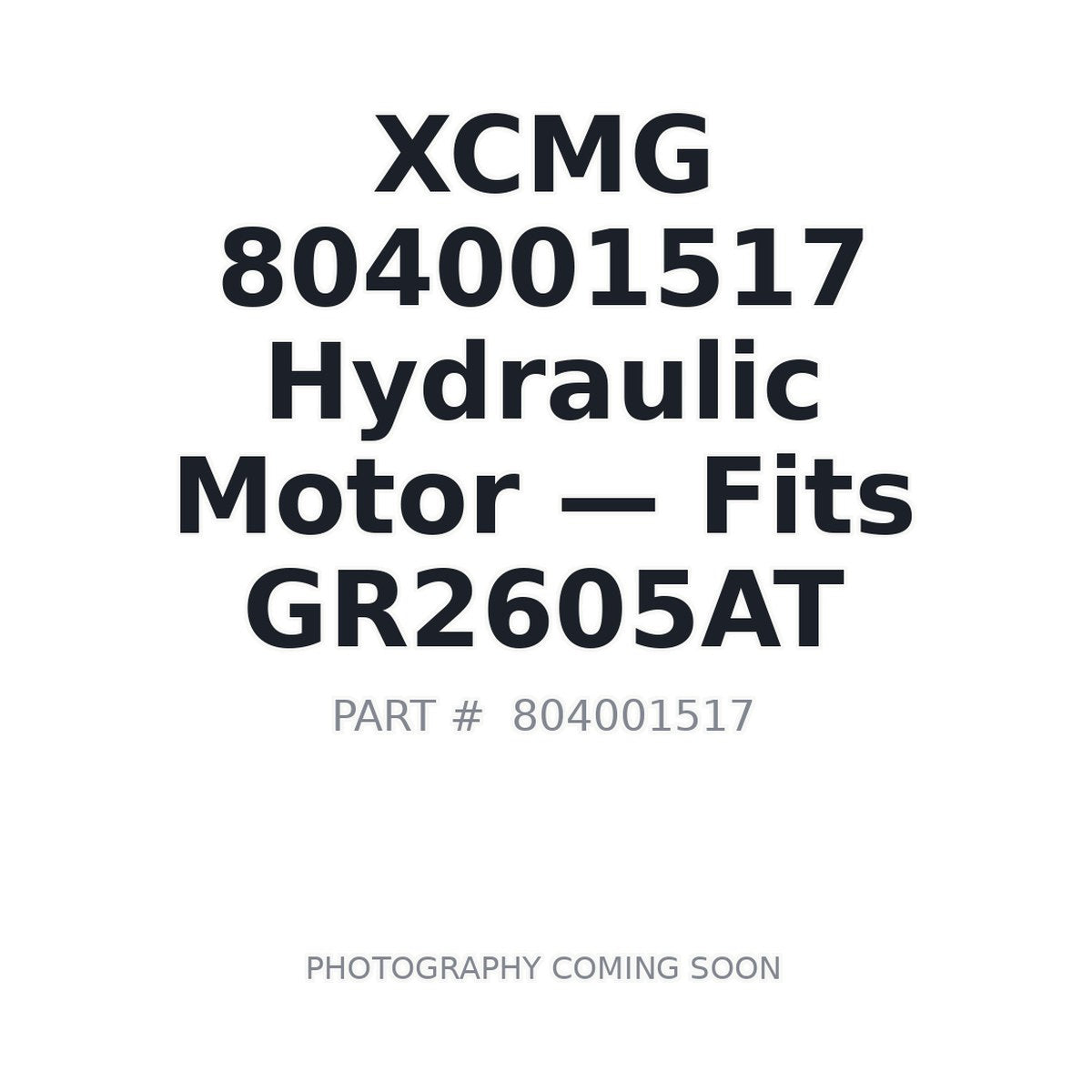 804001517 XCMG Hydraulic Motors
