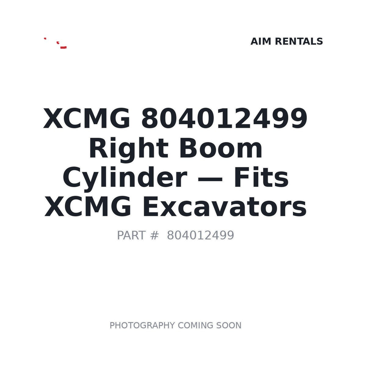 804012499 XCMG Hydraulic Cylinders