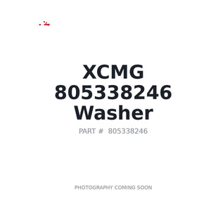 XCMG 805338246 Washer | In Stock BC